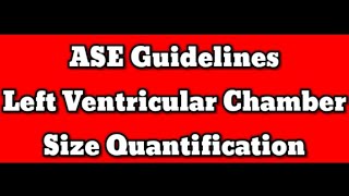 Left Ventricular Chamber Size Quantification 2023 ASE Guidelines Echocardiography [upl. by Mastat]