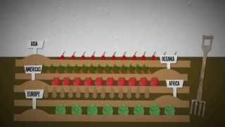 What is food insecurity An explanation [upl. by Evers613]