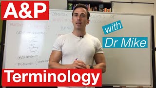 Basic terminology and concepts of Anatomy and Physiology AampP [upl. by Eelyam]