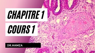 Histologie  Chapitre 1 Cours 1  Dr Hamza [upl. by Nerrej]