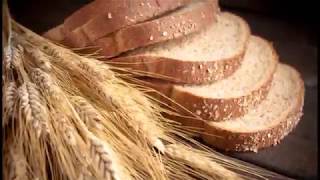 Growing Heritage Wheat at home Part 1 [upl. by Scandura]