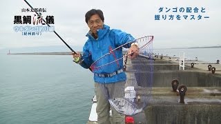 黒鯛流儀 ウキダンゴ釣り（紀州釣り）編 ［ダンゴの配合と握り方をマスター］ [upl. by Haikan]