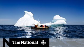 The global impact of Canadas melting icebergs [upl. by Dis]